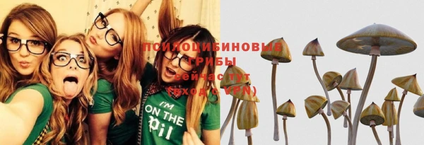ПСИЛОЦИБИНОВЫЕ ГРИБЫ Медногорск