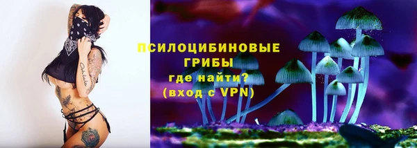 бошки Медвежьегорск